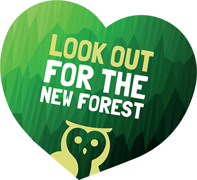 Green heart-shaped graphic with the image of an owl and text reading: 'Look Out for the New Forest'