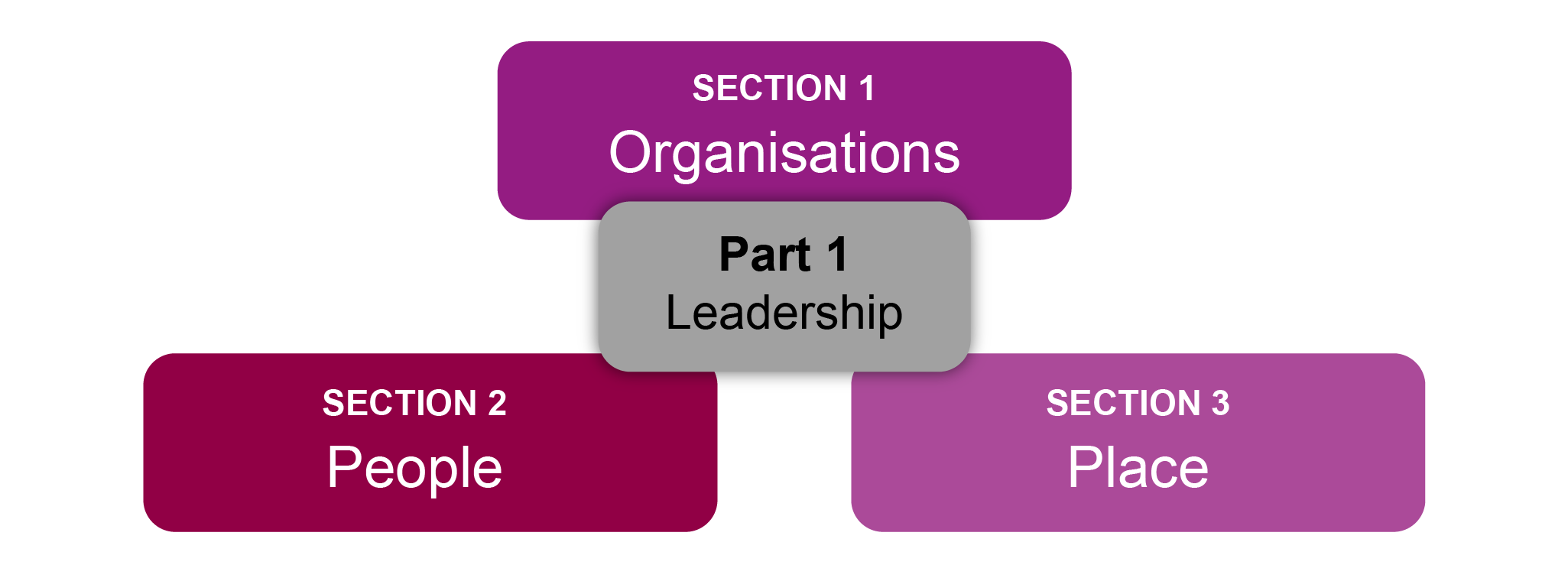 Three labelled sections connect to a central box: "Organisations," "People," and "Place" lead to "Part 1 Leadership," in various shades of purple.