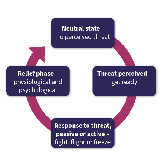 Figure 5 shows a circular arrow with 4 rectangular boxes spaced equally around the circle. Box 1 contains the words Neutral state - no perceived threat. Box 2 contains the words Threat perceived get ready. Box 3 contains the words response to threat- passive or active. Flight fight or freeze. Box 4 contains the words Relief phase physiological and psychological.