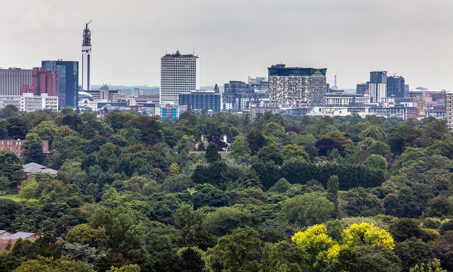 Photo of trees with Birmingham's city skyline in the back