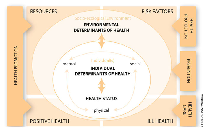 The overall force field of pathology and salutogenesis, disease and health, risk and resource cure, prevention and promotion.