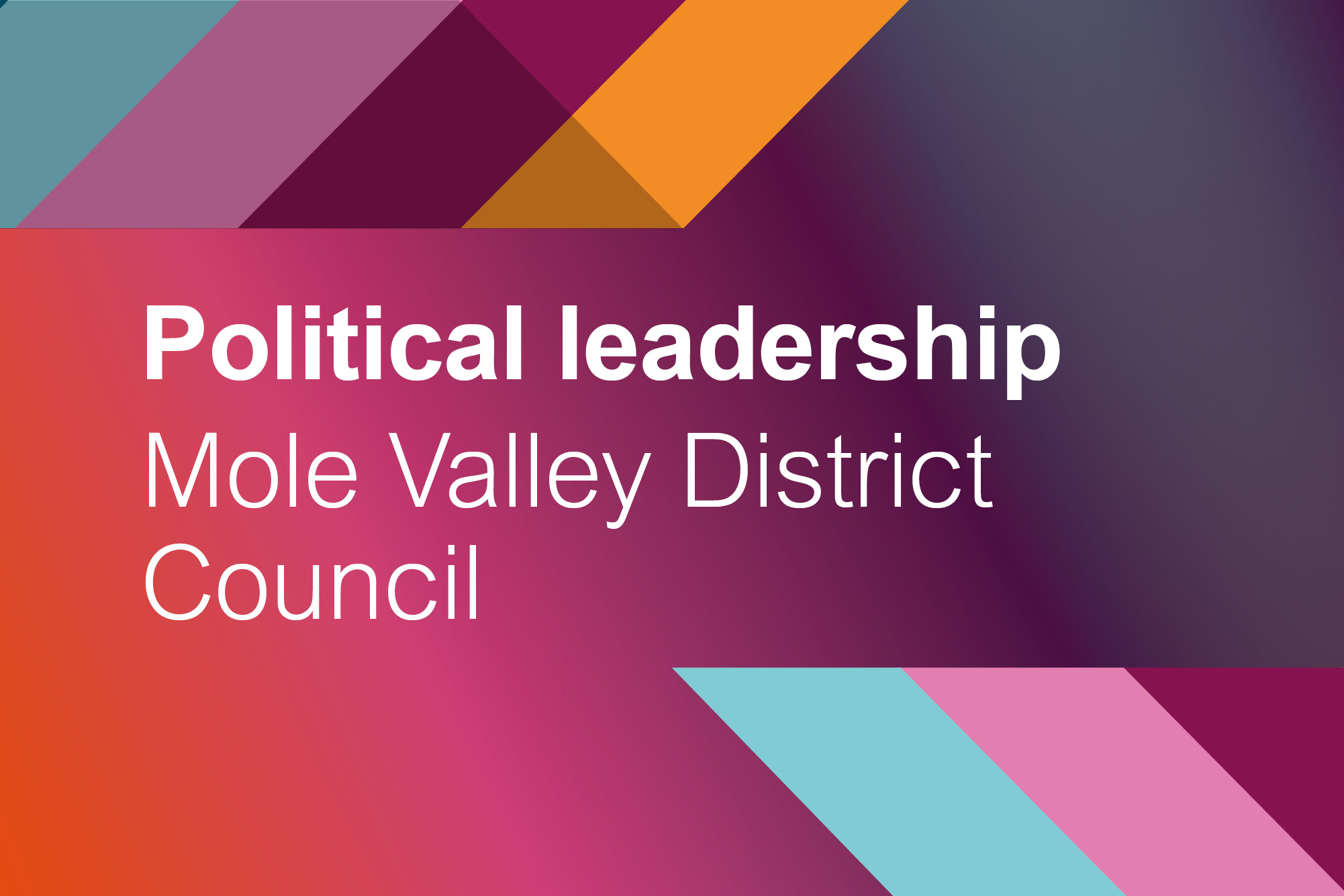 Political leadership: Mole Valley District Council | Local Government ...