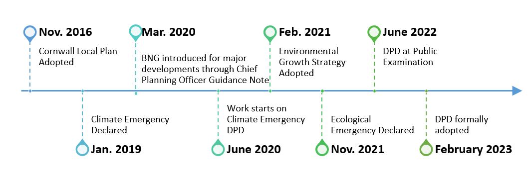 Timeline of Cornwall Council BNG policy development 