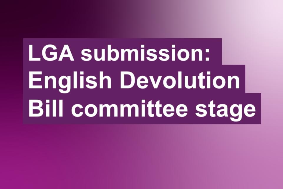 Purple background with white text that reads: English Devolution, Bill committee stage