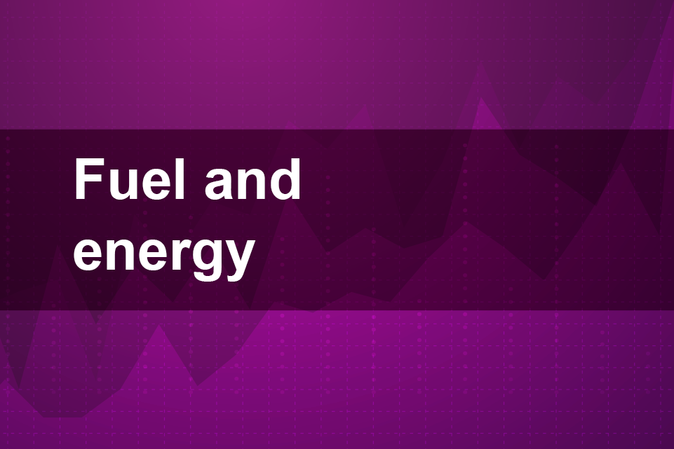 Fuel and energy
