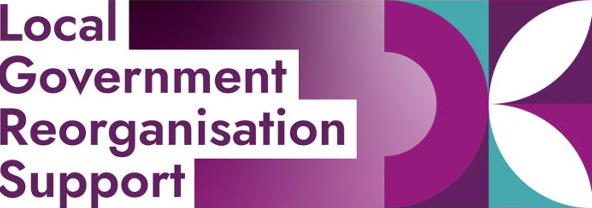 Local Government Reorganisation Support
